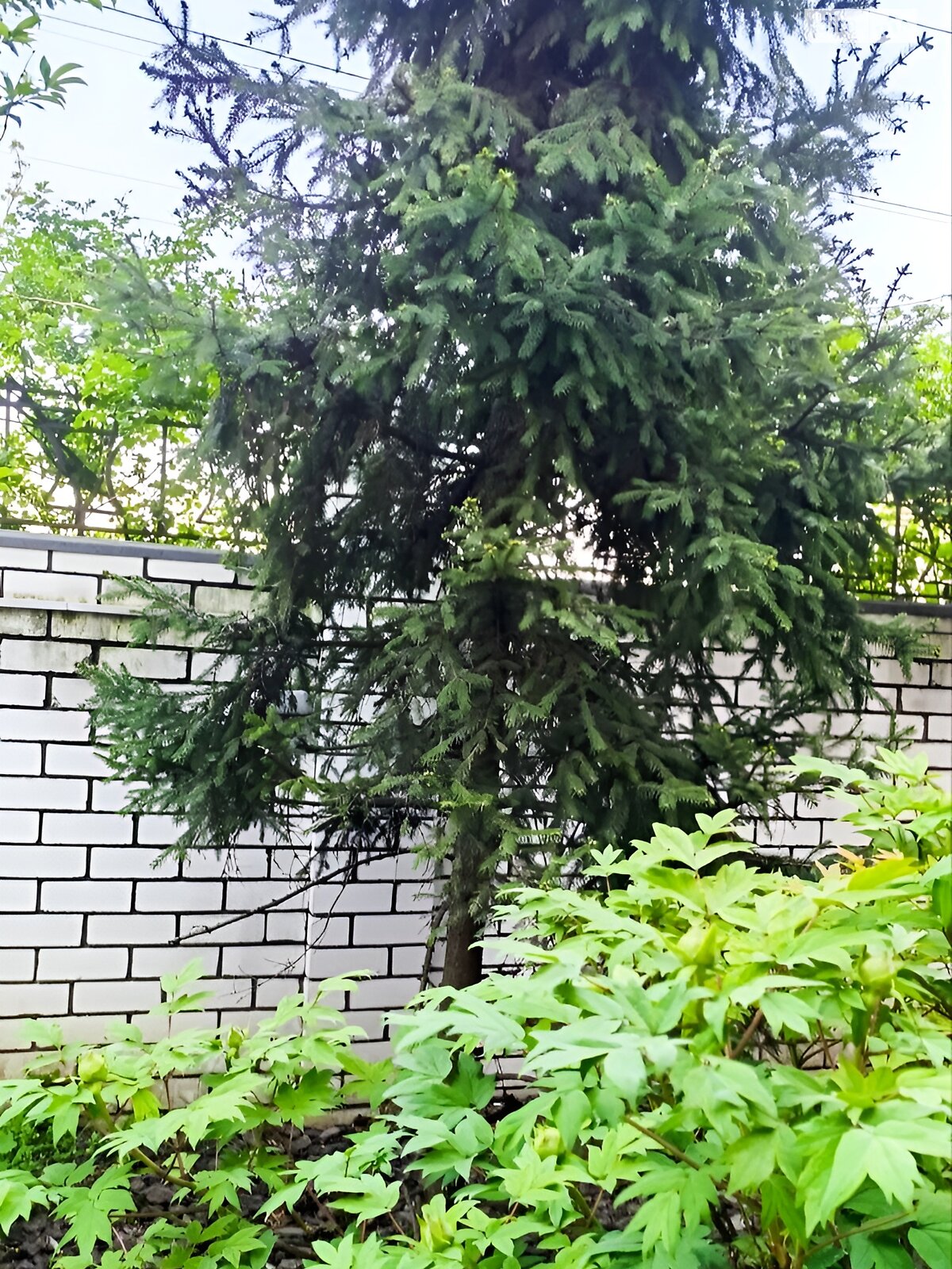 двоповерховий будинок з верандою, 188 кв. м, цегла. Продаж у Дніпрі фото 1 двоповерховий будинок з верандою, 188 кв. м, цегла. Продаж у Дніпрі фото 1