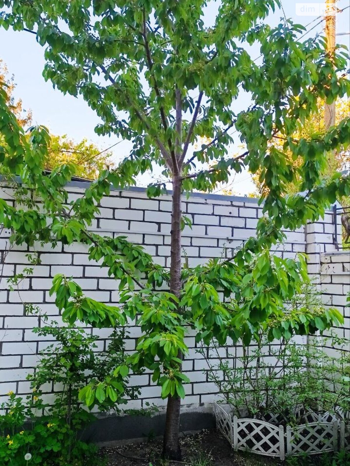 двоповерховий будинок з верандою, 188 кв. м, цегла. Продаж у Дніпрі фото 1 двоповерховий будинок з верандою, 188 кв. м, цегла. Продаж у Дніпрі фото 1