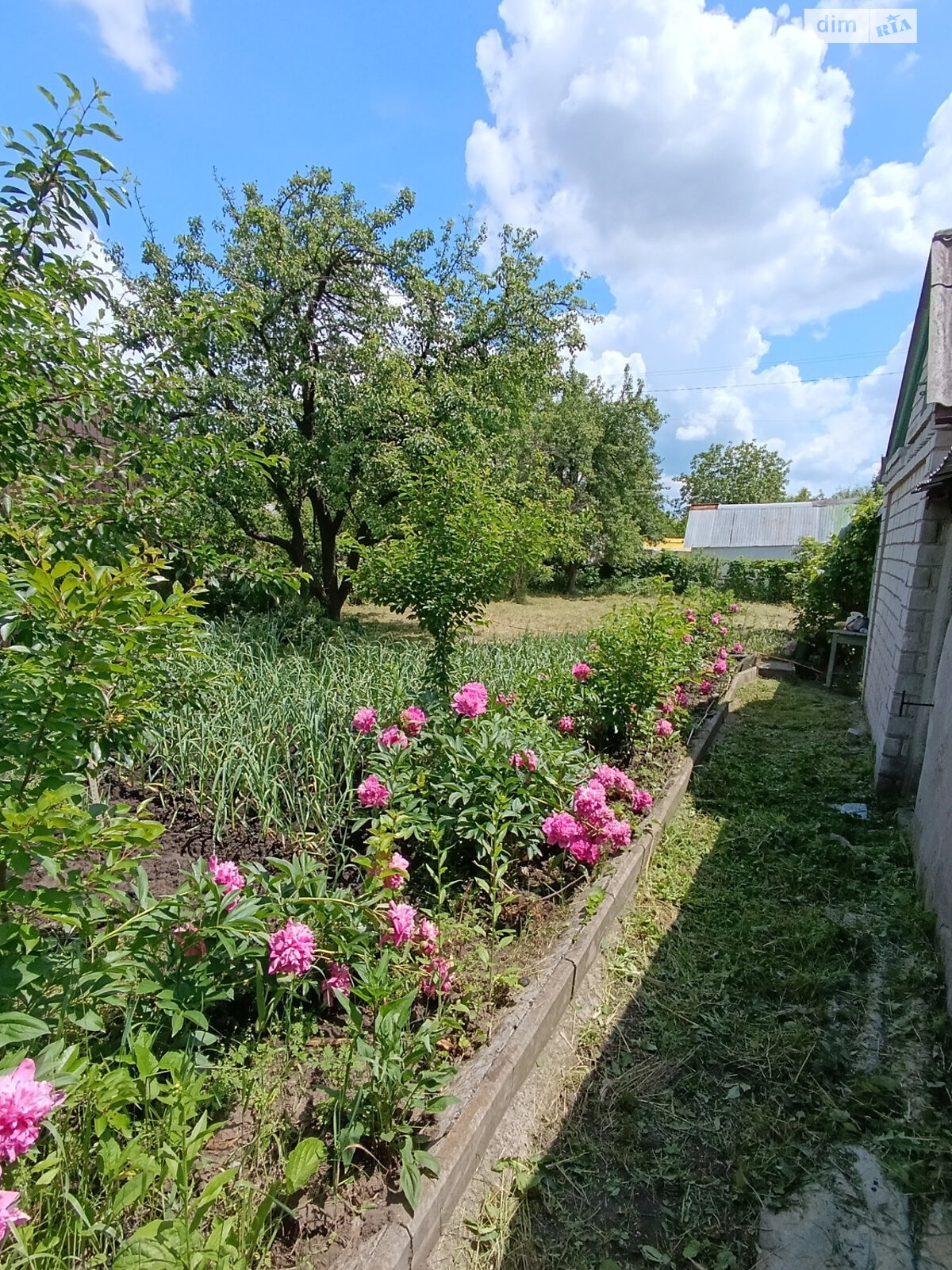 одноэтажный дом, 23 кв. м, кирпич. Продажа в Днепре район Мирный фото 1 одноэтажный дом, 23 кв. м, кирпич. Продажа в Днепре район Мирный фото 1