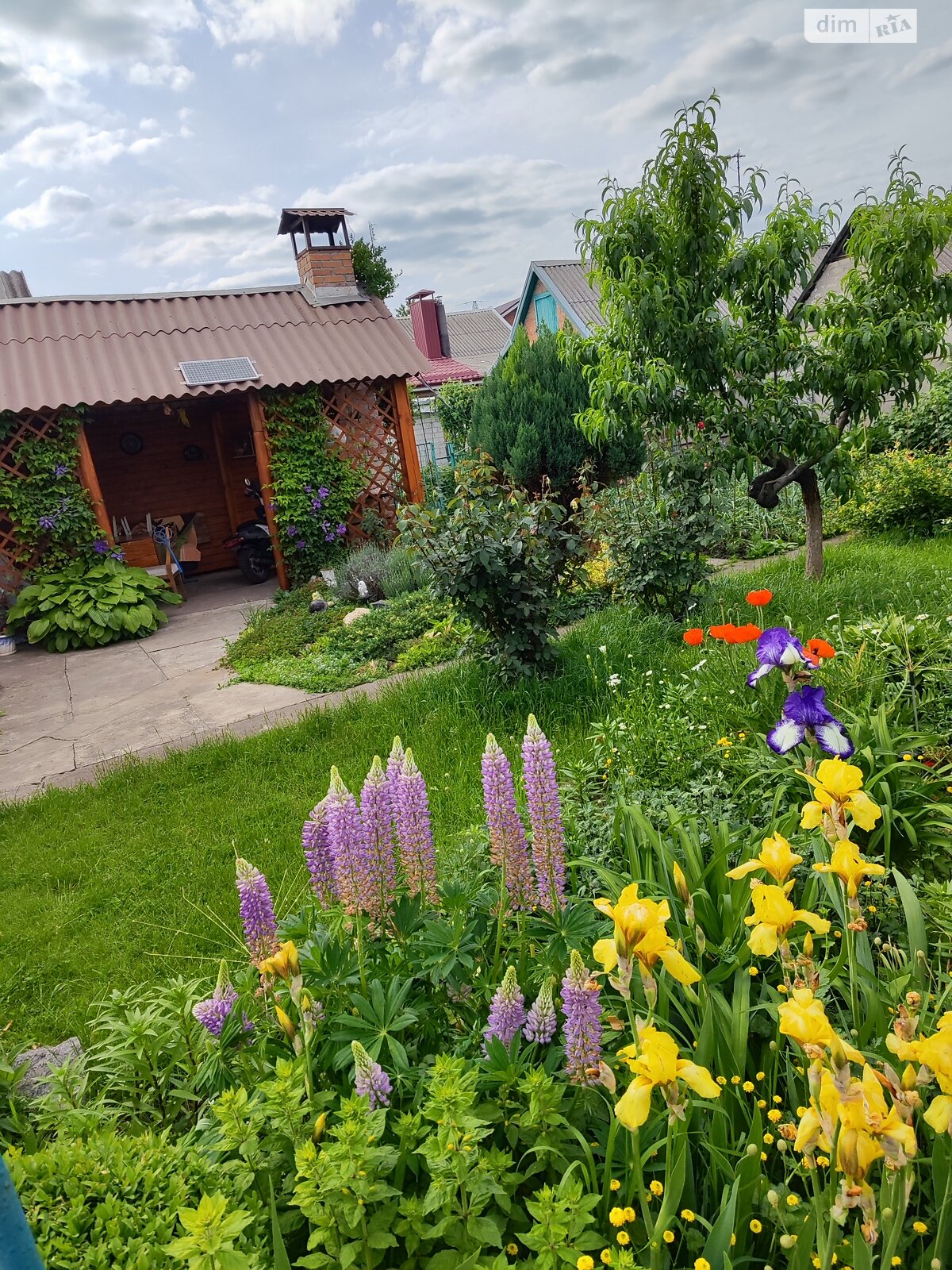 двухэтажный дом с верандой, 70 кв. м, шлакобетон. Продажа в Днепре район Шевченковский фото 1 двухэтажный дом с верандой, 70 кв. м, шлакобетон. Продажа в Днепре район Шевченковский фото 1