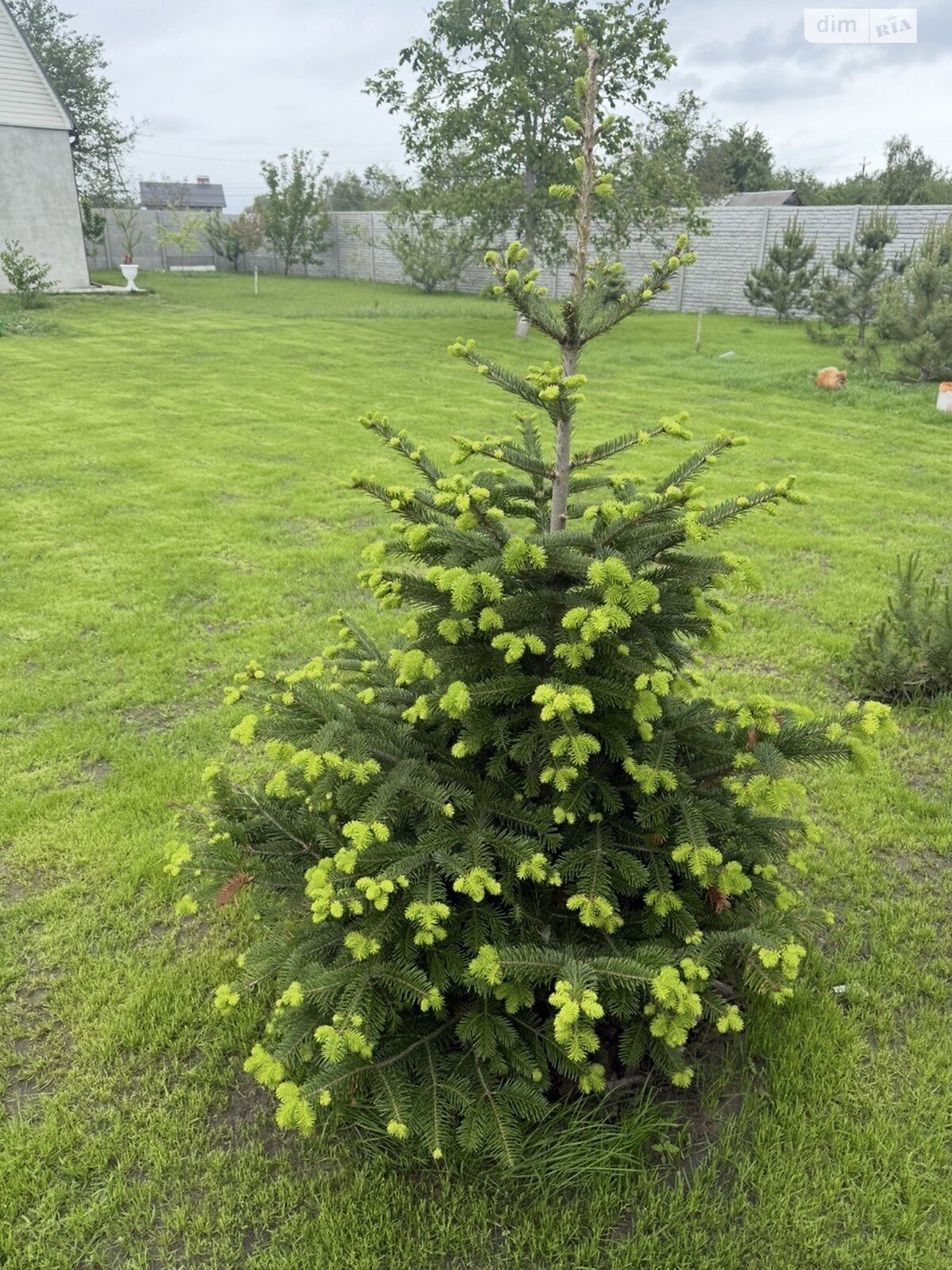 двухэтажный дом с отоплением, 88 кв. м, газобетон. Продажа в Днепре район Амур-Нижнеднепровский фото 1