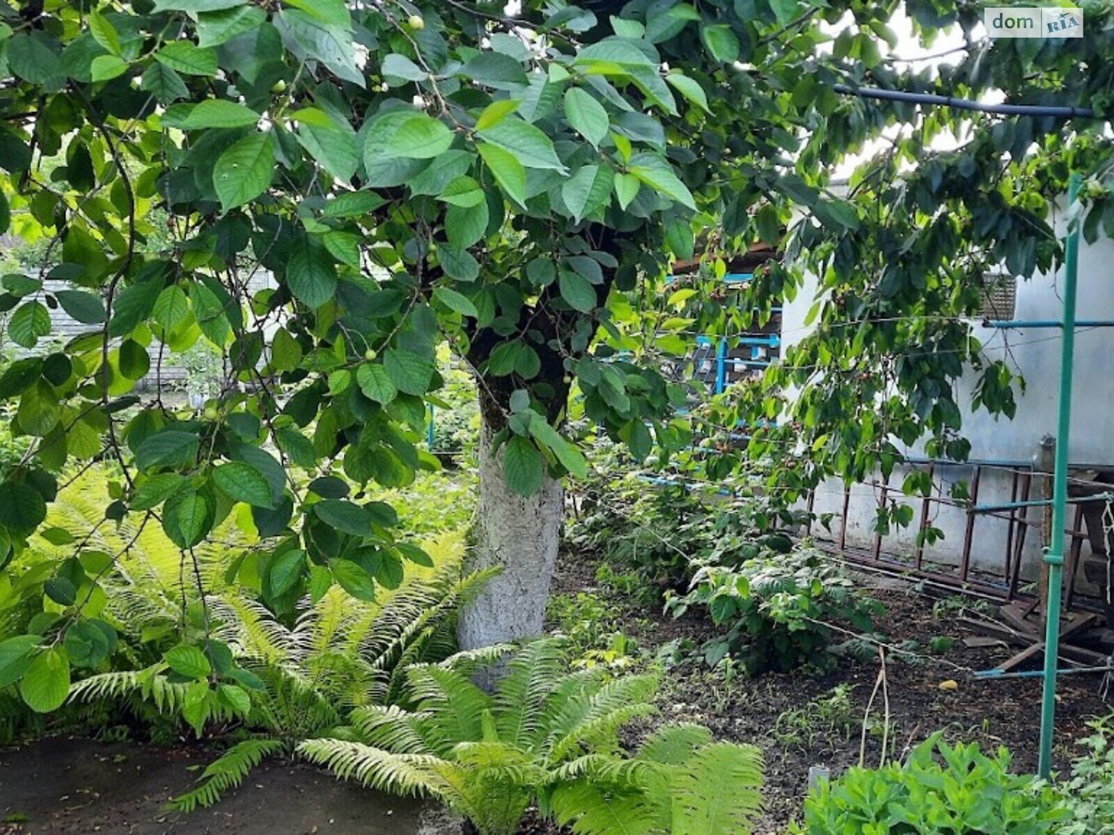 двоповерховий будинок з верандою, 153.7 кв. м, цегла. Продаж в Дніпрі, район Новокодацький фото 1 двоповерховий будинок з верандою, 153.7 кв. м, цегла. Продаж в Дніпрі, район Новокодацький фото 1