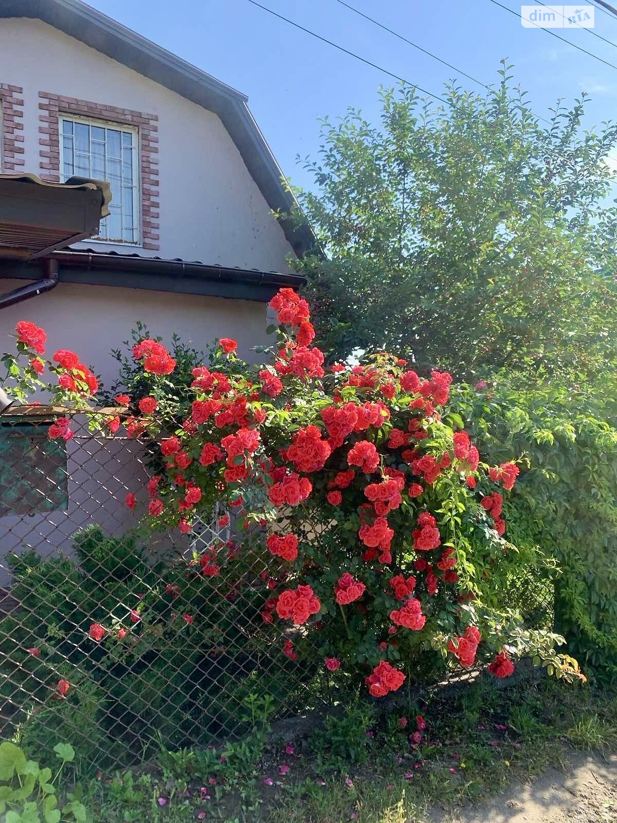 двухэтажный дом с верандой, 50 кв. м, кирпич. Продажа в Днепре район Победа-6 фото 1