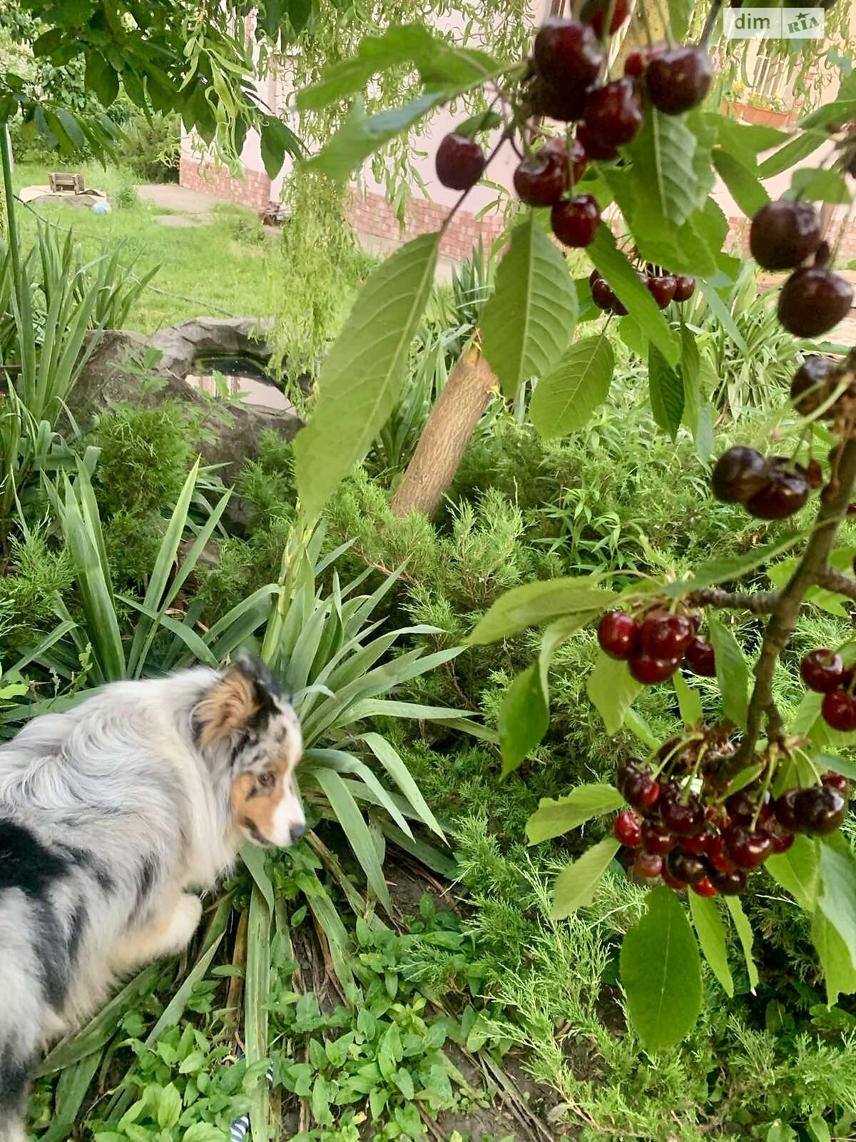 двухэтажный дом с верандой, 50 кв. м, кирпич. Продажа в Днепре район Победа-6 фото 1