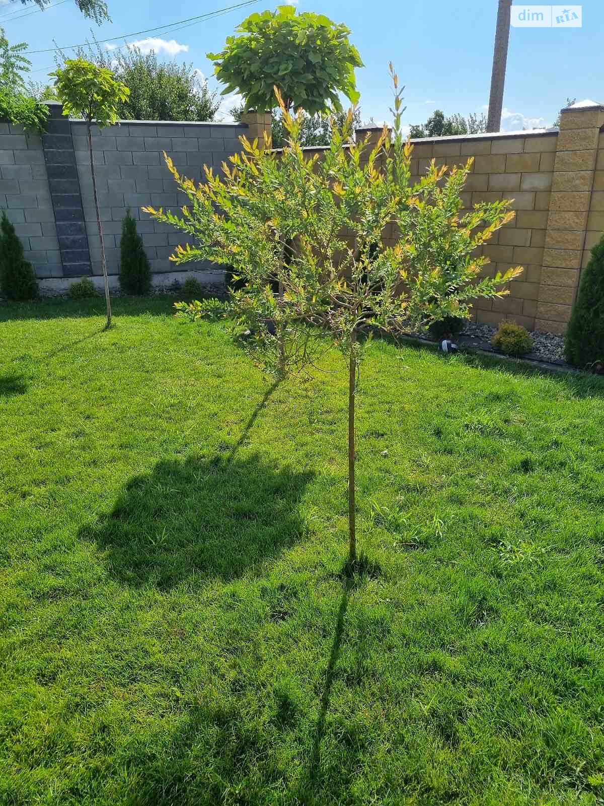 двухэтажный дом, 100 кв. м, газобетон. Продажа в Днепре район Победа-6 фото 1 двухэтажный дом, 100 кв. м, газобетон. Продажа в Днепре район Победа-6 фото 1