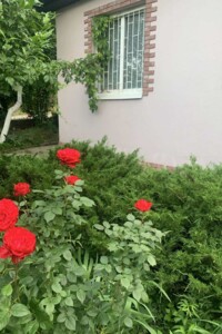 двоповерховий будинок з опаленням, 59 кв. м, цегла. Продаж в Дніпрі, район Перемога-6 фото 2