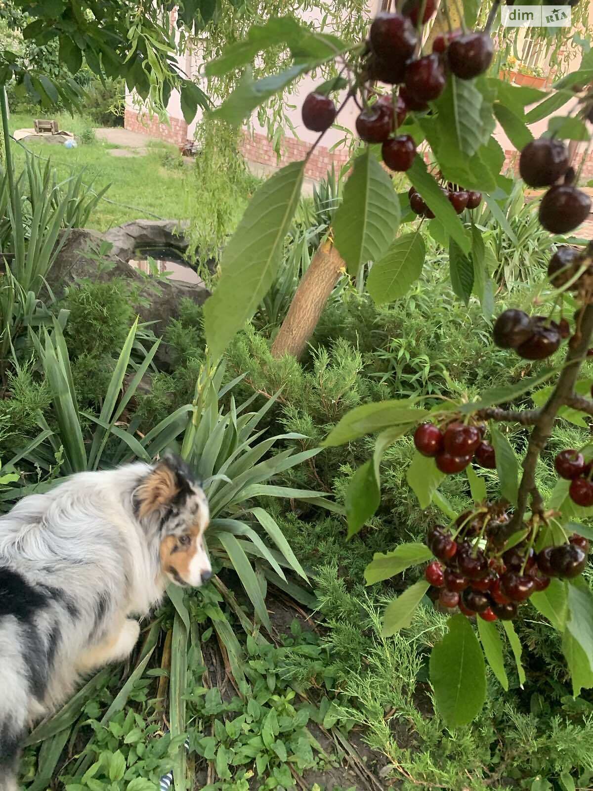 двоповерховий будинок з опаленням, 59 кв. м, цегла. Продаж в Дніпрі, район Перемога-6 фото 1