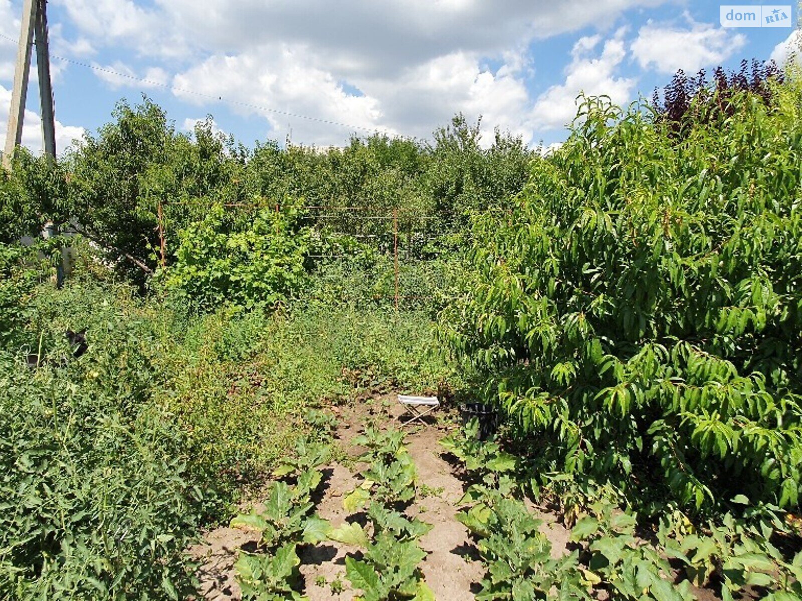 одноповерховий будинок з ремонтом, 158 кв. м, ракушняк. Продаж у Підгородне фото 1