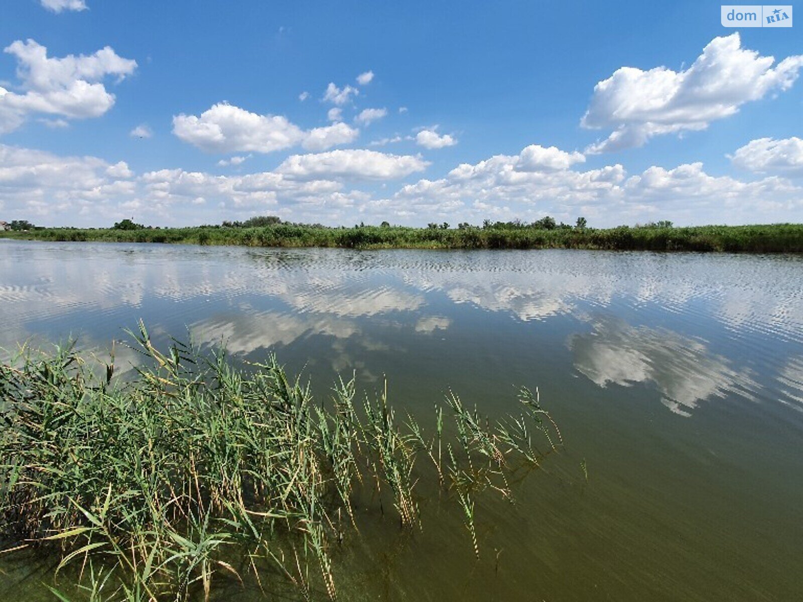 одноповерховий будинок з ремонтом, 158 кв. м, ракушняк. Продаж у Підгородне фото 1