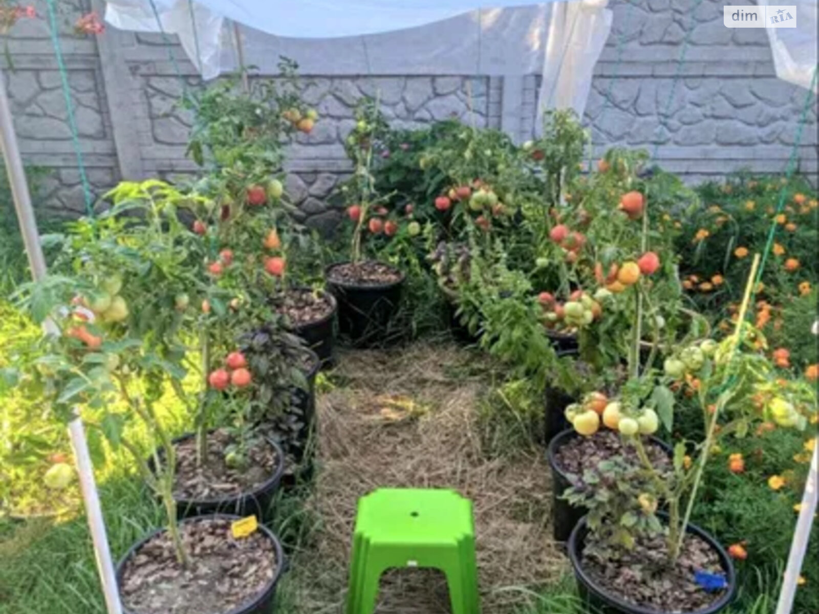 двоповерховий будинок бесідка, 186 кв. м, цегла. Продаж в Дніпрі, район Придніпровський фото 1