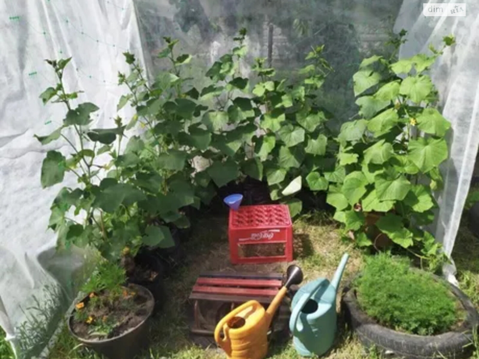 двоповерховий будинок бесідка, 186 кв. м, цегла. Продаж в Дніпрі, район Придніпровський фото 1