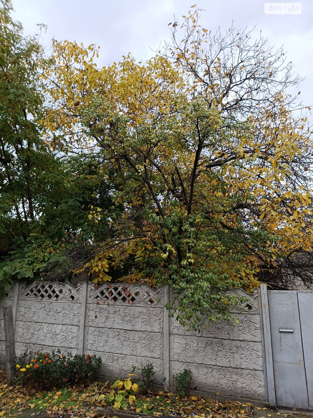 одинадцатиэтажный дом с гаражом, 37 кв. м, кирпич. Продажа в Днепре район Рыбальская Балка фото 1 одинадцатиэтажный дом с гаражом, 37 кв. м, кирпич. Продажа в Днепре район Рыбальская Балка фото 1