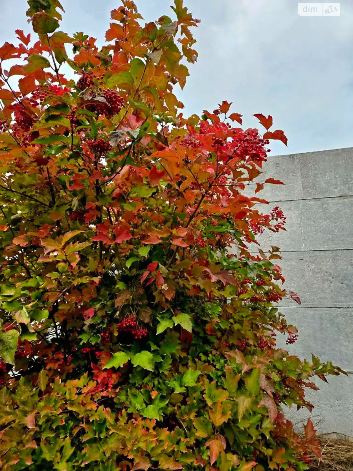 двухэтажный дом с отоплением, 152 кв. м, газобетон. Продажа в Днепре район Шевченковский фото 1 двухэтажный дом с отоплением, 152 кв. м, газобетон. Продажа в Днепре район Шевченковский фото 1