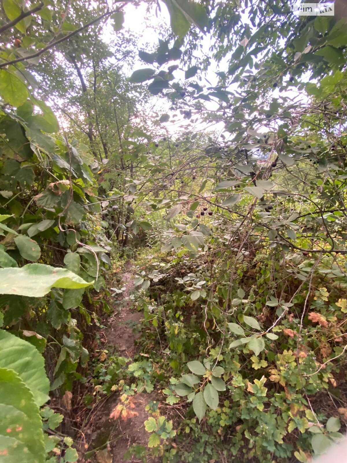 одноэтажный дом, 53.5 кв. м, кирпич силикатный. Продажа в Днепре район Шляхивка фото 1 одноэтажный дом, 53.5 кв. м, кирпич силикатный. Продажа в Днепре район Шляхивка фото 1