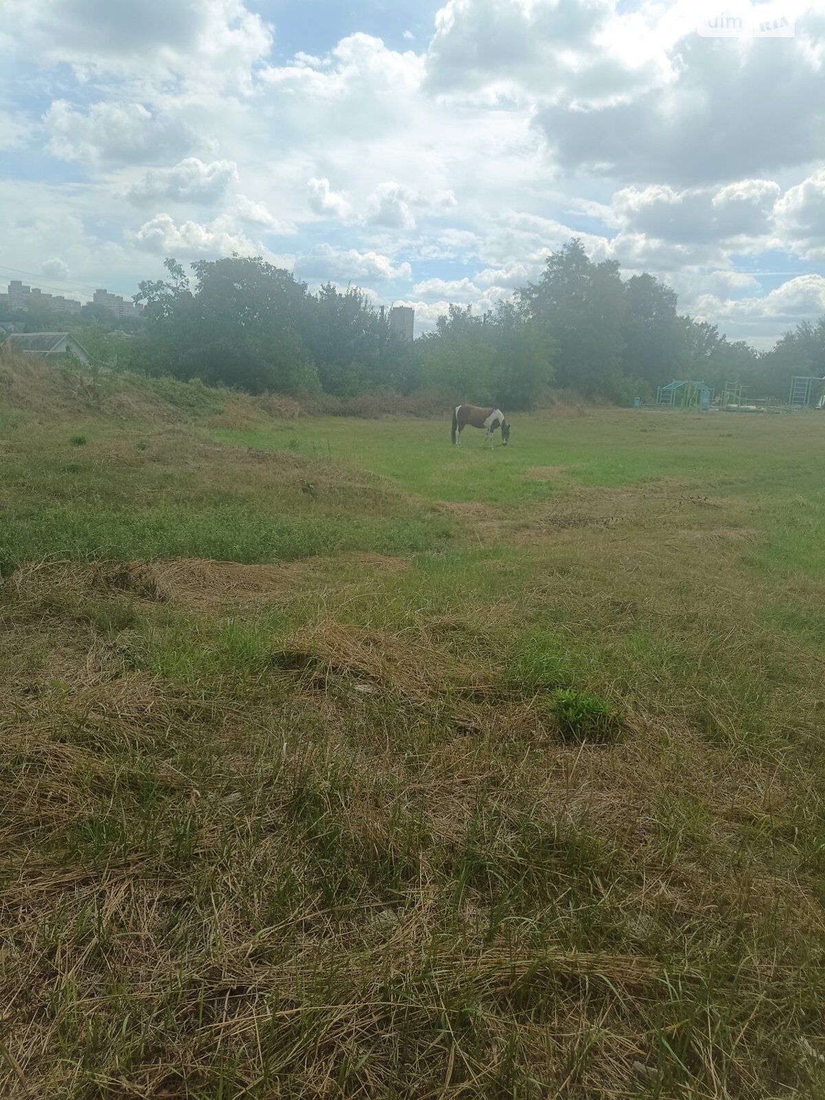 одноповерховий будинок, 60 кв. м, шлакоблок. Продаж в Дніпрі, район Шляхівка фото 1 одноповерховий будинок, 60 кв. м, шлакоблок. Продаж в Дніпрі, район Шляхівка фото 1