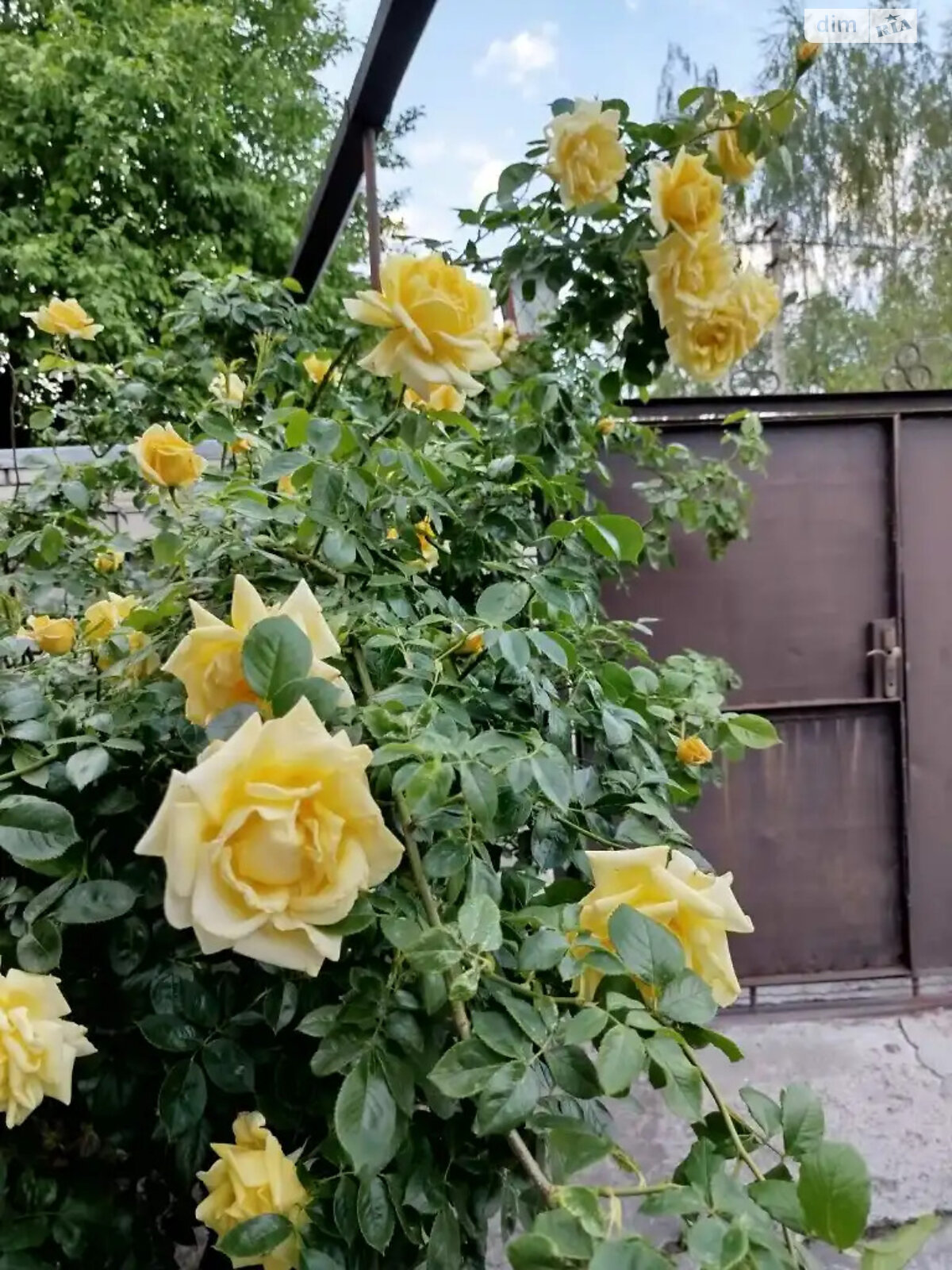 одноповерховий будинок з гаражем, 104 кв. м, цегла. Продаж в Дніпрі, район Соборний фото 1 одноповерховий будинок з гаражем, 104 кв. м, цегла. Продаж в Дніпрі, район Соборний фото 1