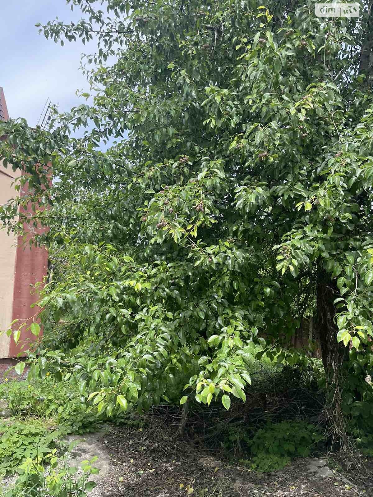 одноповерховий будинок з гаражем, 78 кв. м, цегла. Продаж в Дніпрі, район Сокіл фото 1 одноповерховий будинок з гаражем, 78 кв. м, цегла. Продаж в Дніпрі, район Сокіл фото 1