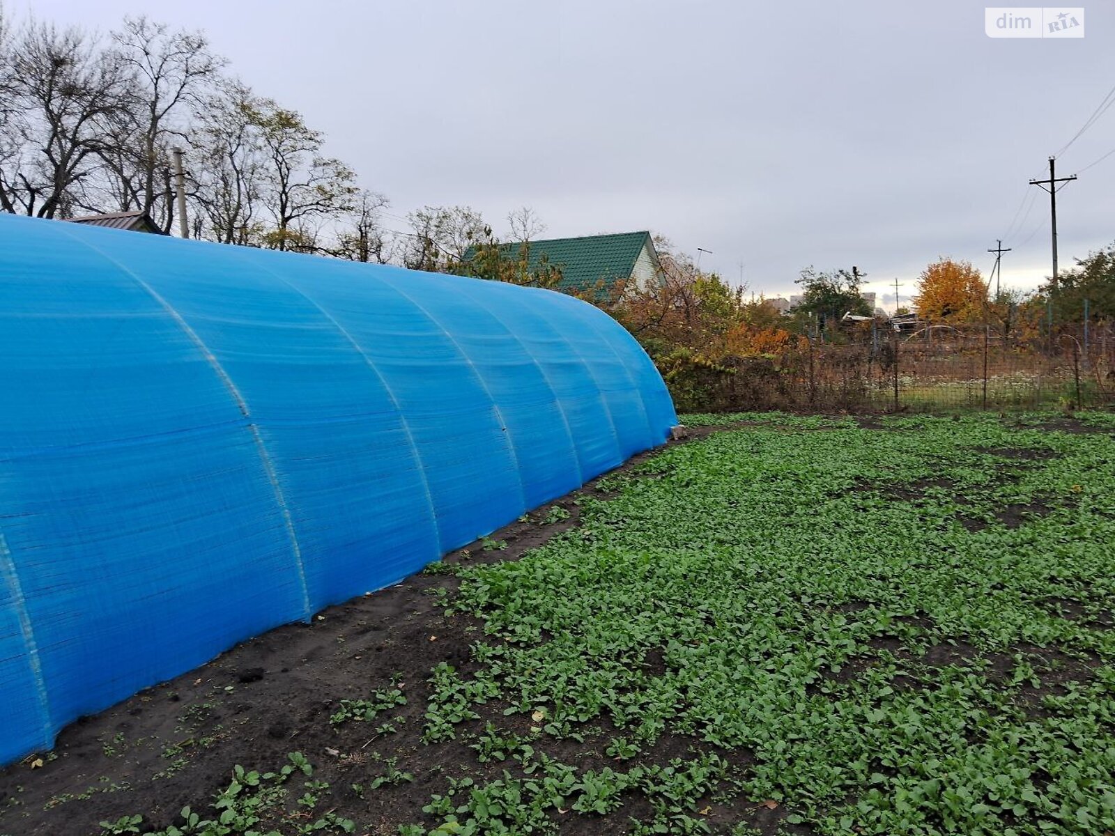 одноэтажный дом с отоплением, 37.8 кв. м, кирпич. Продажа в Днепре район Сухачевка фото 1 одноэтажный дом с отоплением, 37.8 кв. м, кирпич. Продажа в Днепре район Сухачевка фото 1