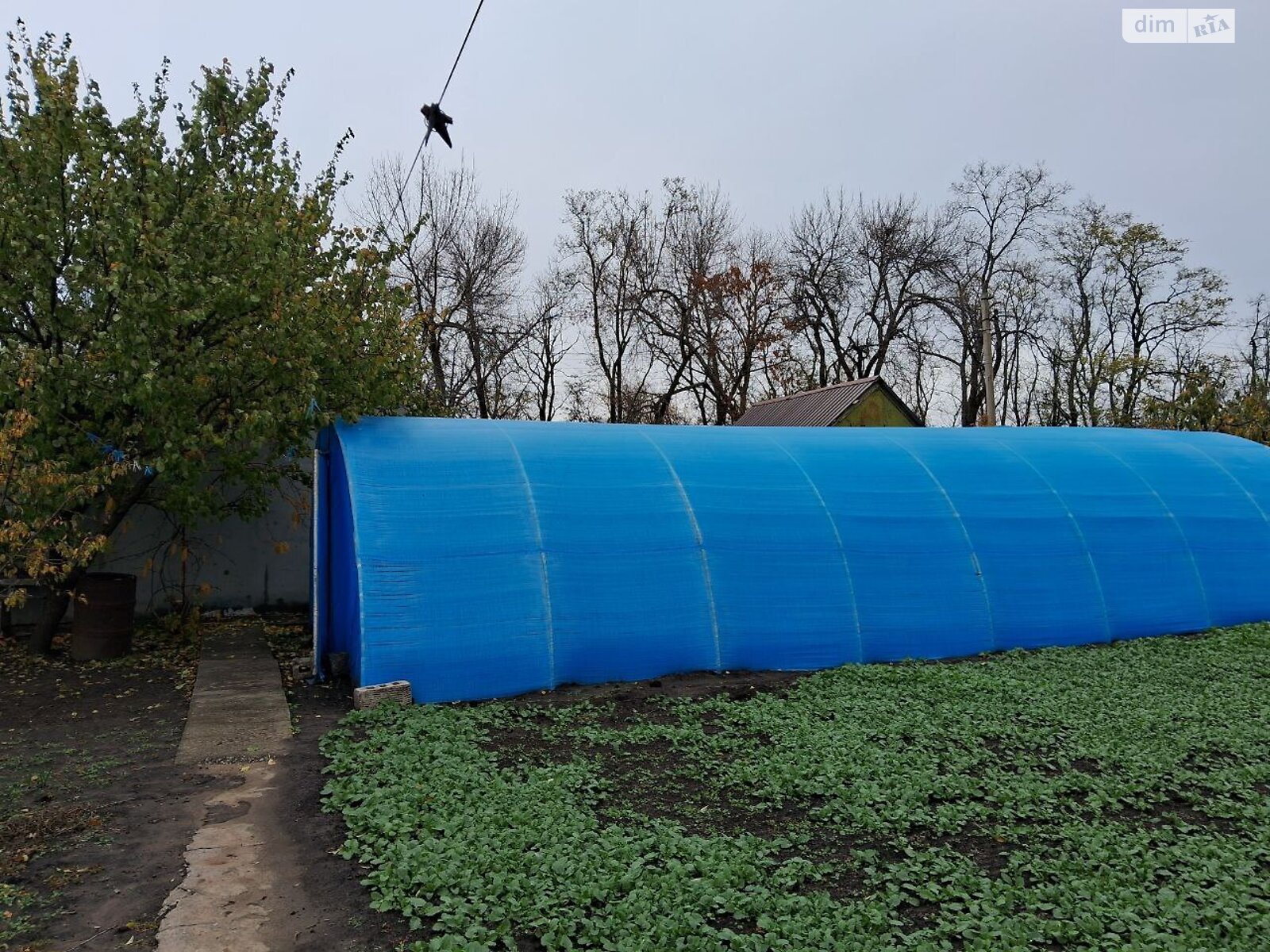 одноэтажный дом с отоплением, 37.8 кв. м, кирпич. Продажа в Днепре район Сухачевка фото 1 одноэтажный дом с отоплением, 37.8 кв. м, кирпич. Продажа в Днепре район Сухачевка фото 1