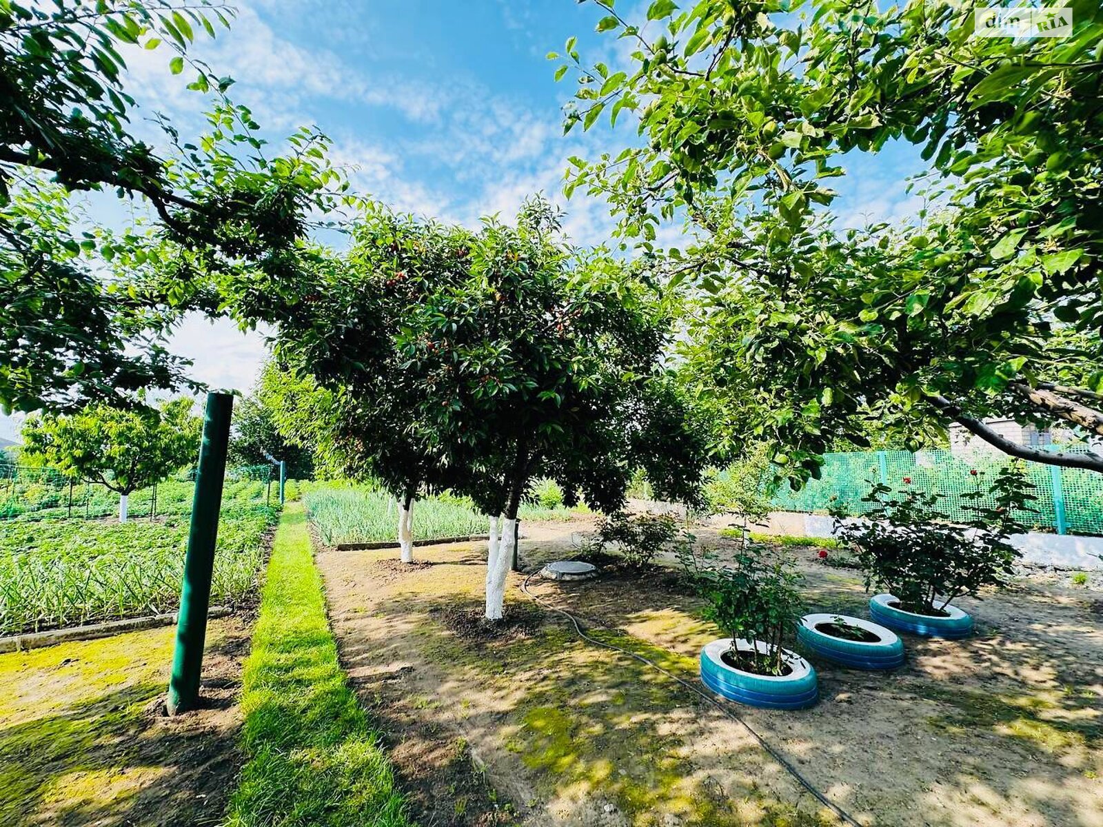 одноповерховий будинок з опаленням, 78.7 кв. м, монолітно-блочний. Продаж в Дніпрі, район Таромське фото 1