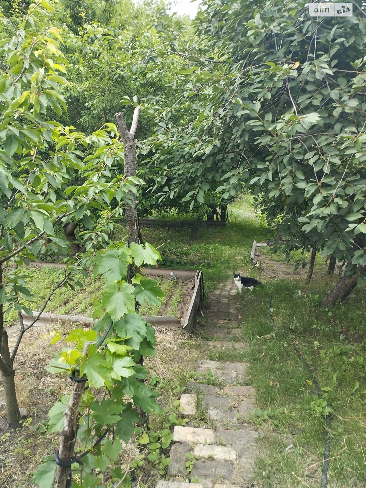 одноэтажный дом беседка, 30 кв. м, шлакоблок. Продажа в Днепре район Новокодакский фото 1 одноэтажный дом беседка, 30 кв. м, шлакоблок. Продажа в Днепре район Новокодакский фото 1