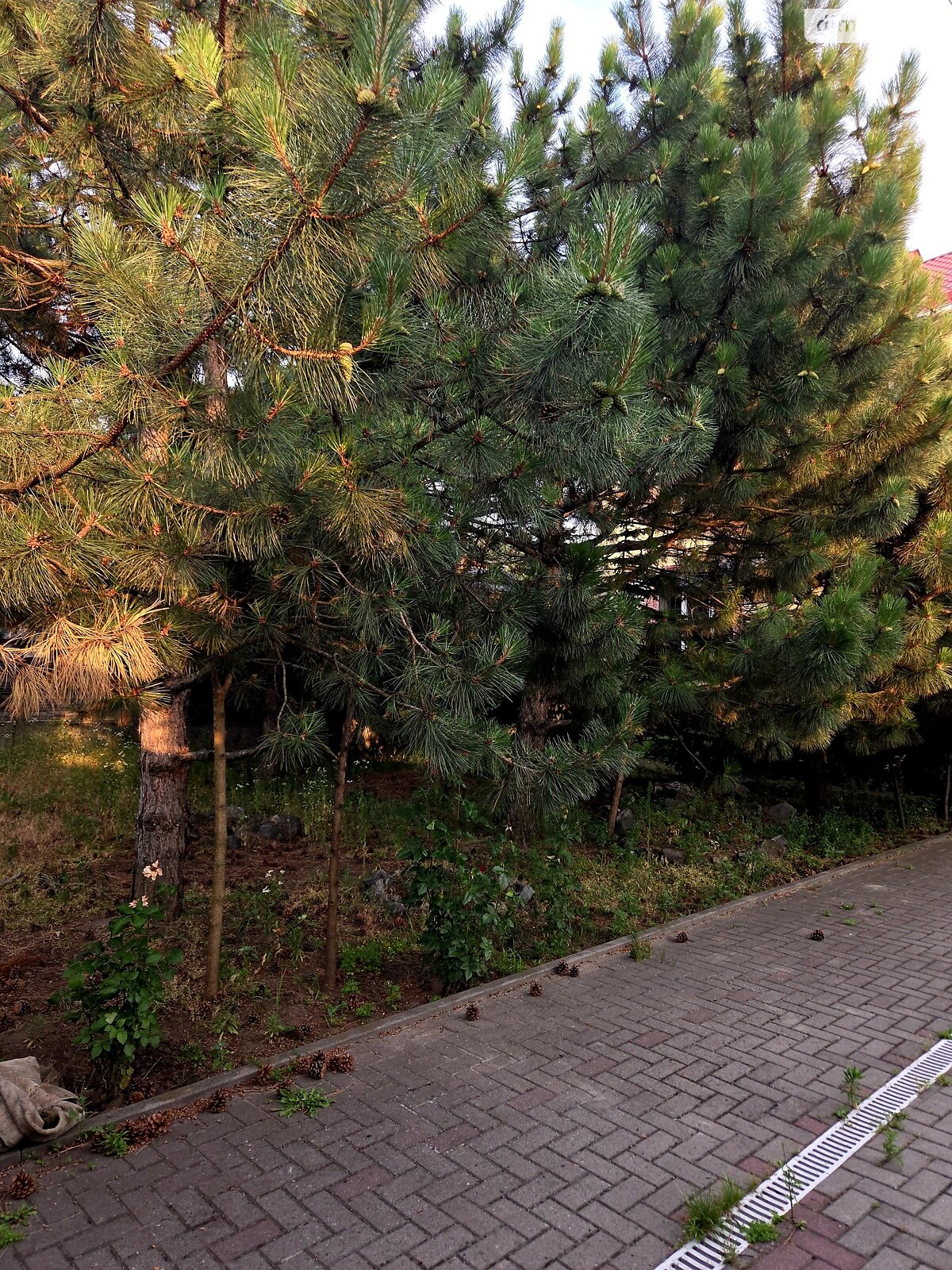 двоповерховий будинок з гаражем, 186 кв. м, цегла. Продаж у Дослідному фото 1 двоповерховий будинок з гаражем, 186 кв. м, цегла. Продаж у Дослідному фото 1