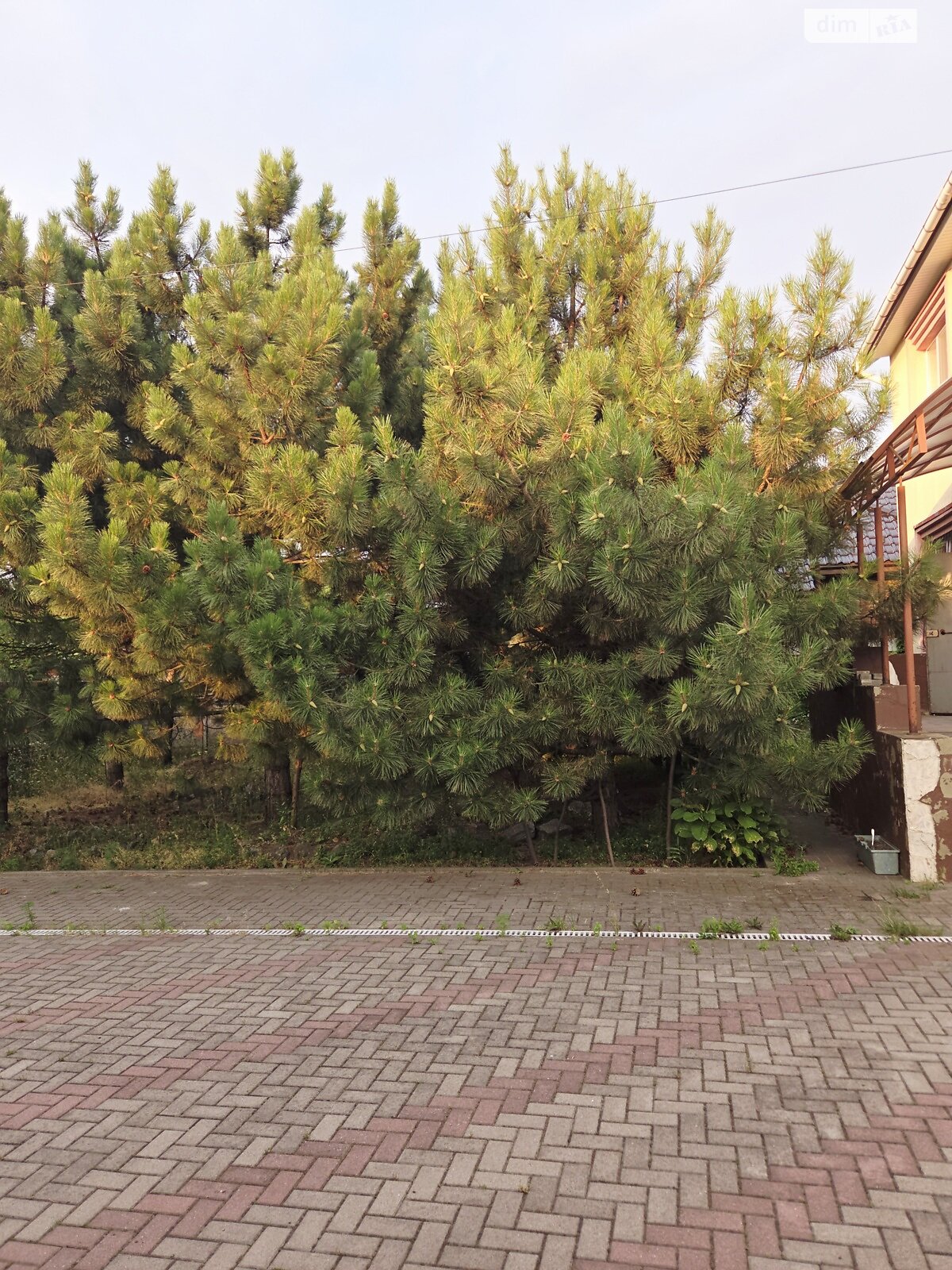 двоповерховий будинок з гаражем, 186 кв. м, цегла. Продаж у Дослідному фото 1 двоповерховий будинок з гаражем, 186 кв. м, цегла. Продаж у Дослідному фото 1