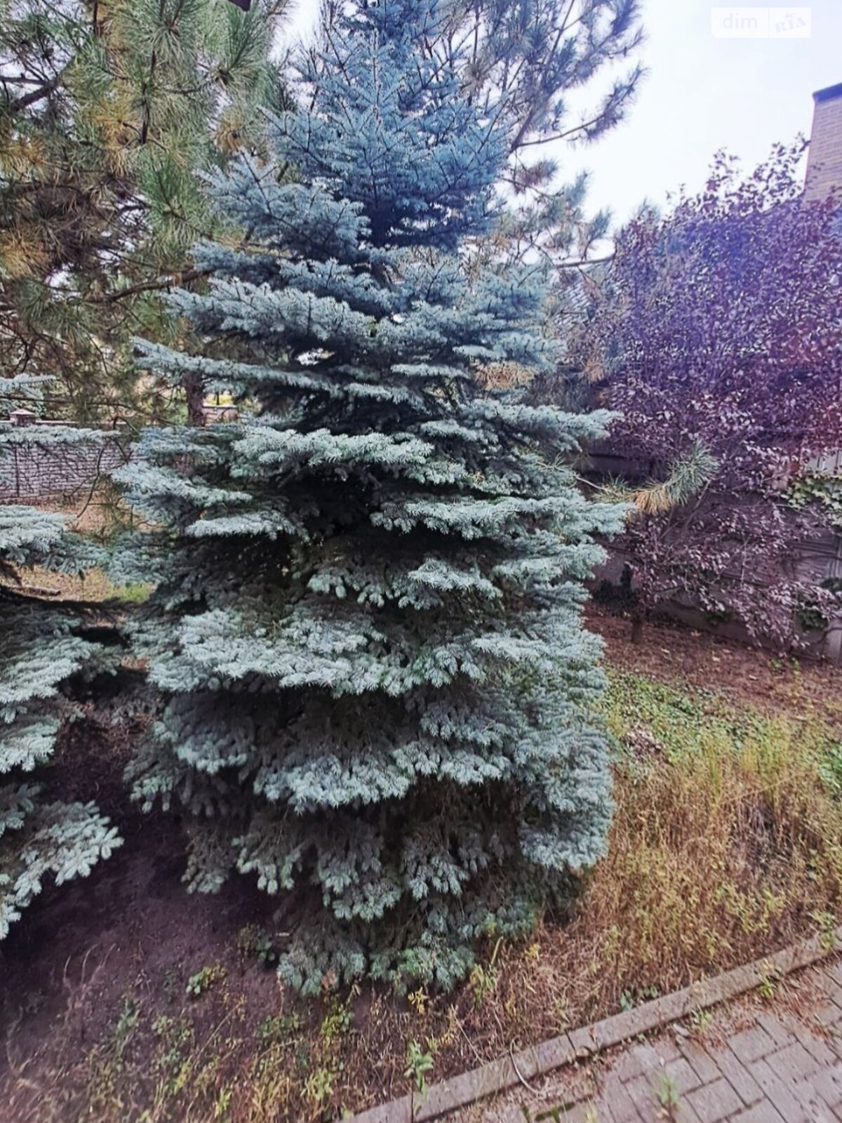 двоповерховий будинок з гаражем, 186 кв. м, цегла. Продаж у Дослідному фото 1 двоповерховий будинок з гаражем, 186 кв. м, цегла. Продаж у Дослідному фото 1