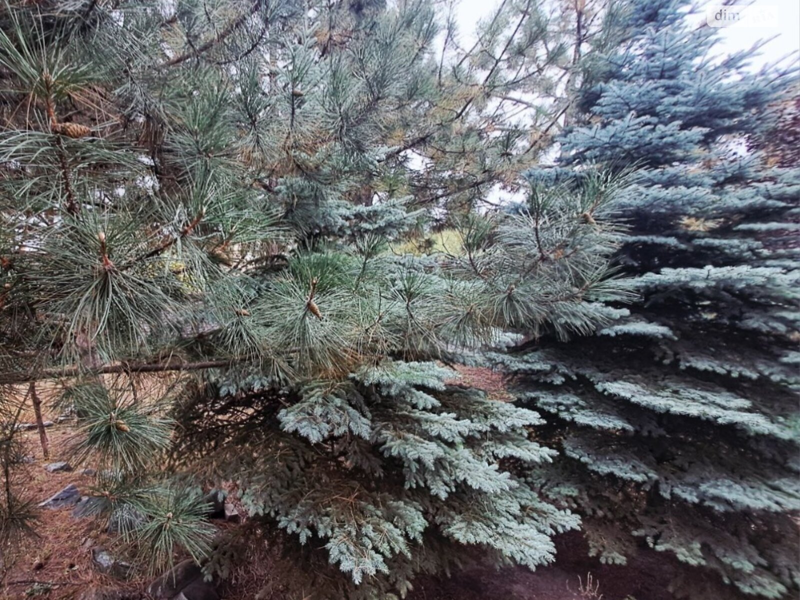 двоповерховий будинок з гаражем, 186 кв. м, цегла. Продаж у Дослідному фото 1 двоповерховий будинок з гаражем, 186 кв. м, цегла. Продаж у Дослідному фото 1