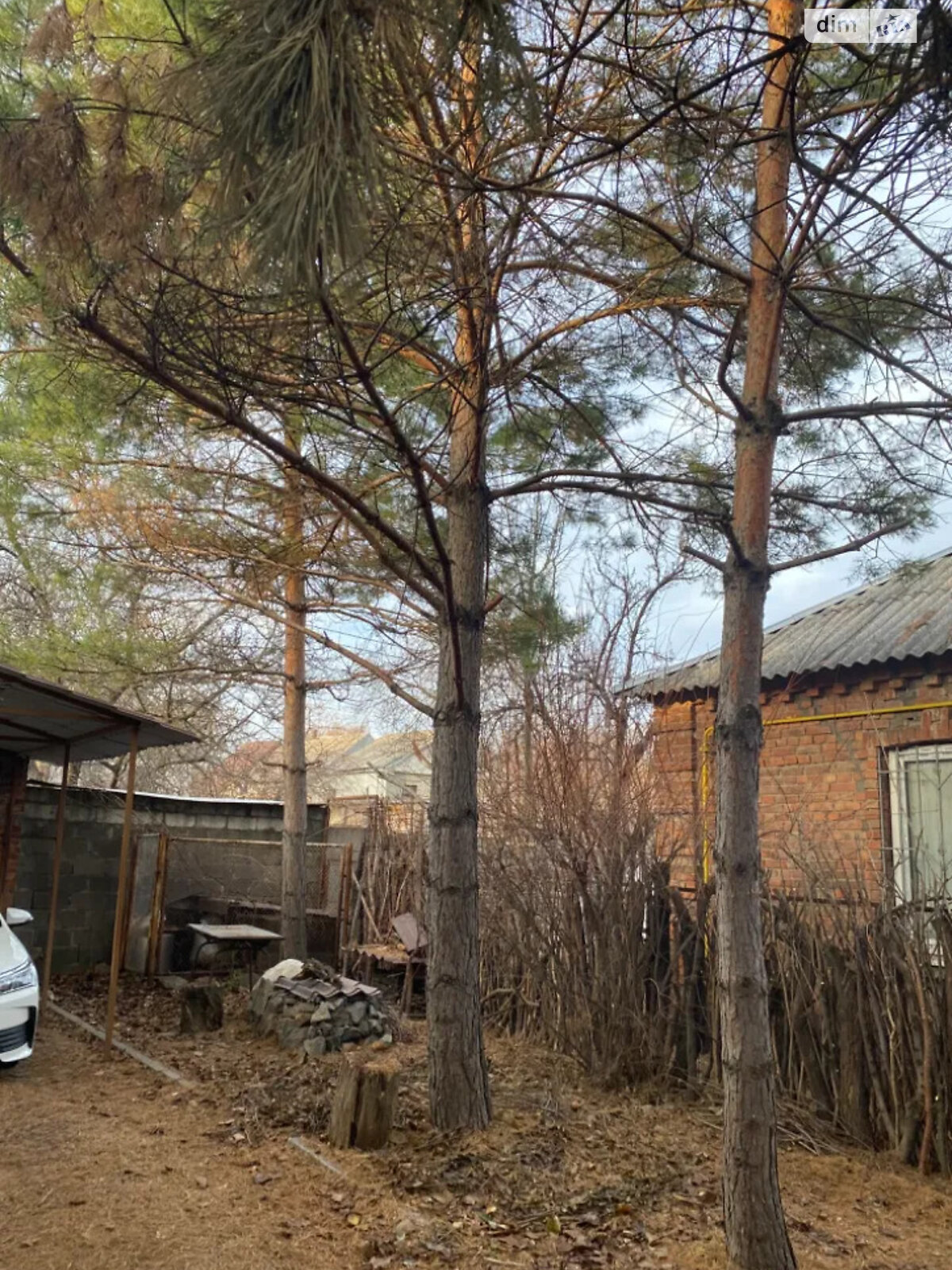 одноповерховий будинок, 105 кв. м, кирпич. Продаж в Дніпрі, район Центр фото 1 одноповерховий будинок, 105 кв. м, кирпич. Продаж в Дніпрі, район Центр фото 1