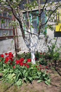одноповерховий будинок з верандою, 60 кв. м, цегла. Продаж в Доброславі, район Комінтернівське фото 2