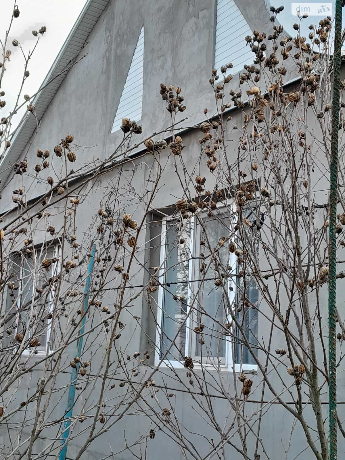 одноповерховий будинок з верандою, 81.8 кв. м, цегла. Продаж в Доброславі, район Комінтернівське фото 1 одноповерховий будинок з верандою, 81.8 кв. м, цегла. Продаж в Доброславі, район Комінтернівське фото 1