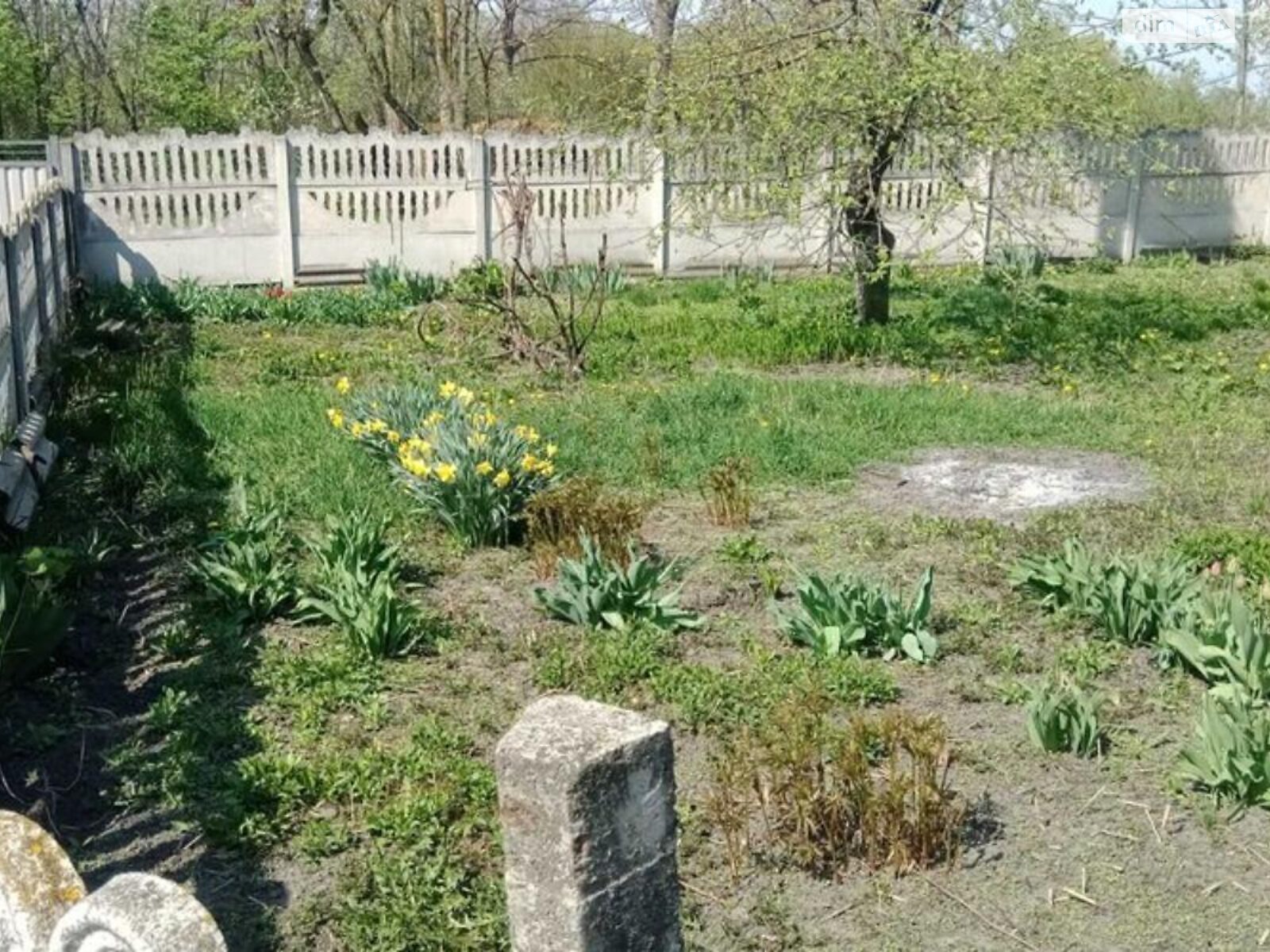 одноповерховий будинок з опаленням, 90 кв. м, цегла. Продаж у Долинівці фото 1 одноповерховий будинок з опаленням, 90 кв. м, цегла. Продаж у Долинівці фото 1