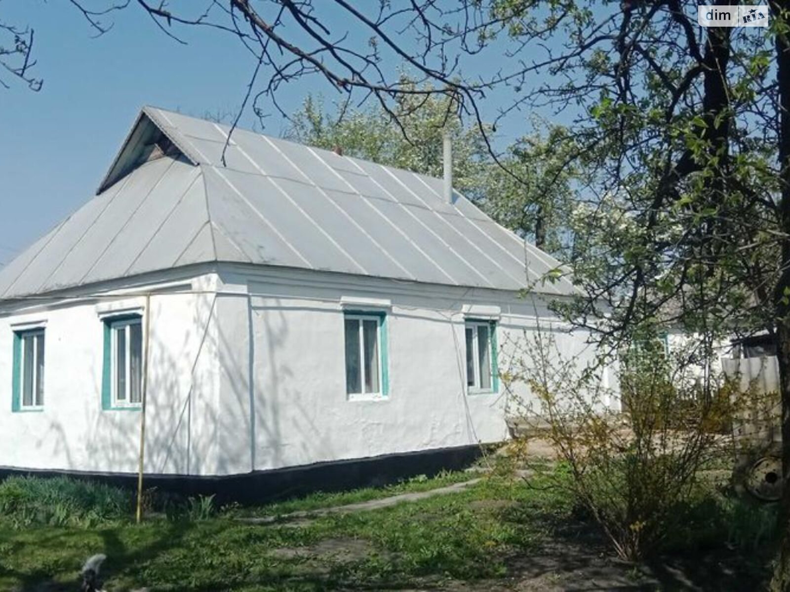одноповерховий будинок з опаленням, 90 кв. м, цегла. Продаж у Долинівці фото 1 одноповерховий будинок з опаленням, 90 кв. м, цегла. Продаж у Долинівці фото 1