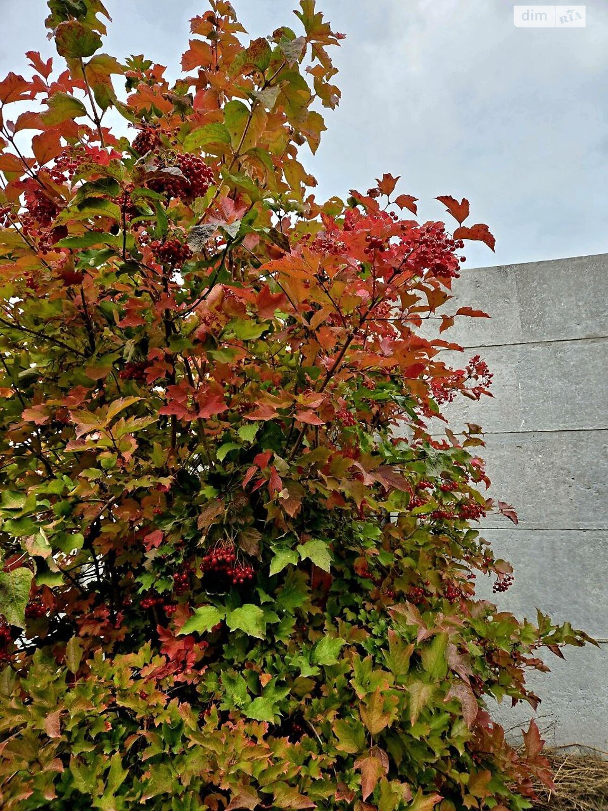 двоповерховий будинок з верандою, 152.2 кв. м, газобетон. Продаж у Дорогому фото 1 двоповерховий будинок з верандою, 152.2 кв. м, газобетон. Продаж у Дорогому фото 1