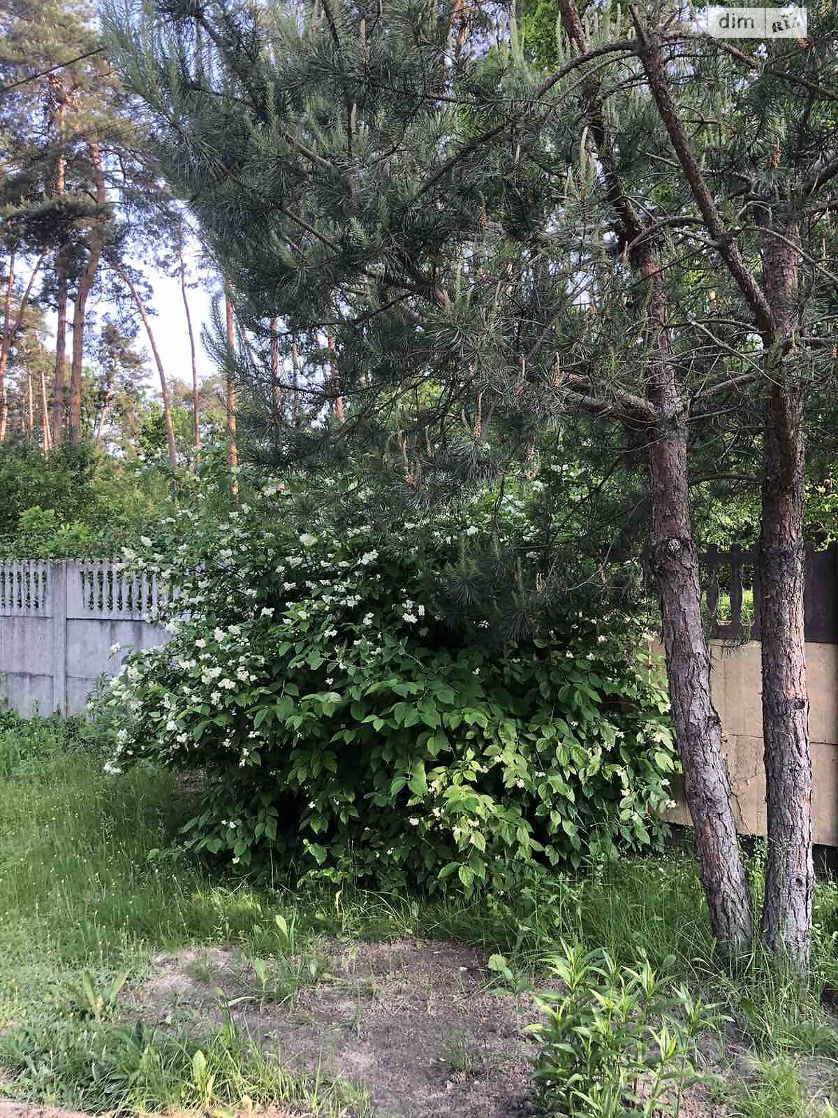 одноповерховий будинок з верандою, 56 кв. м, цегла. Продаж у Довжику фото 1 одноповерховий будинок з верандою, 56 кв. м, цегла. Продаж у Довжику фото 1