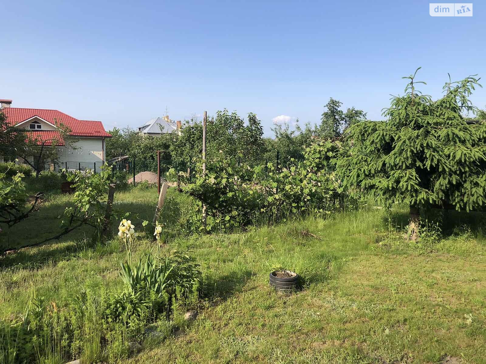 одноповерховий будинок з верандою, 56 кв. м, цегла. Продаж у Довжику фото 1 одноповерховий будинок з верандою, 56 кв. м, цегла. Продаж у Довжику фото 1