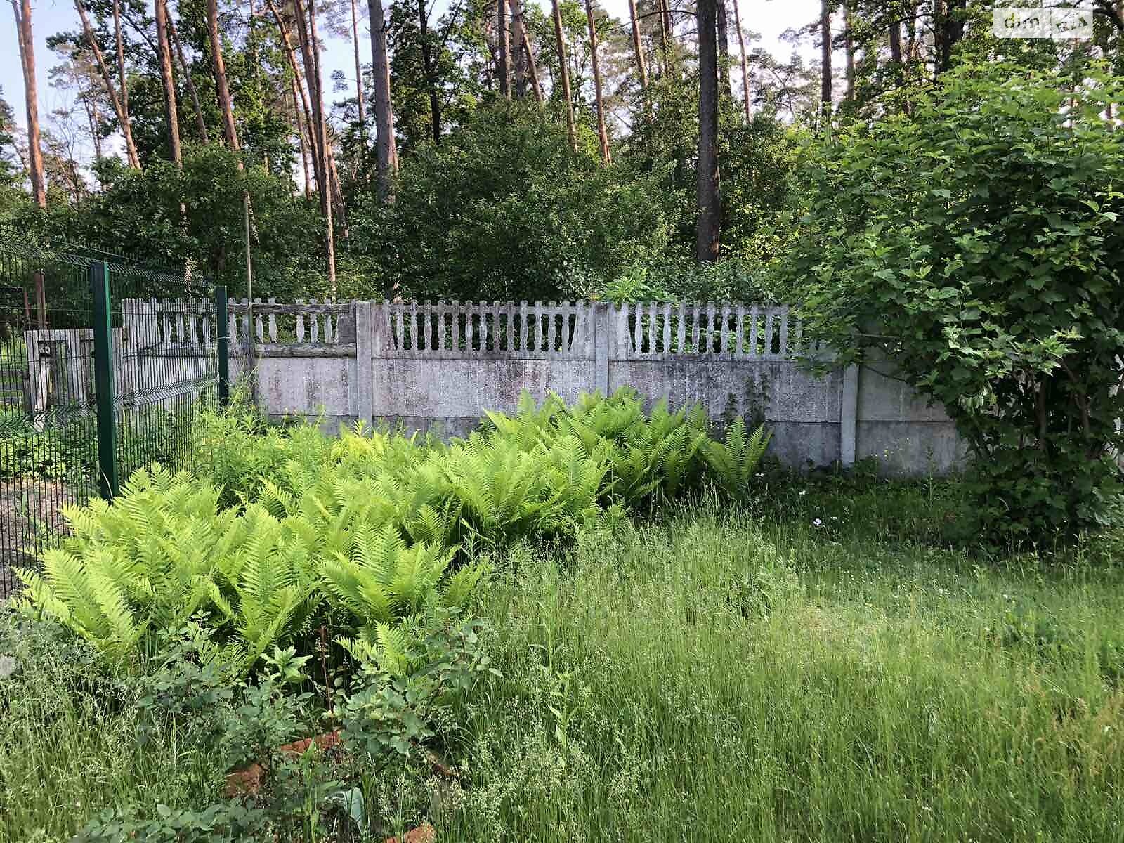 одноповерховий будинок з верандою, 56 кв. м, цегла. Продаж у Довжику фото 1 одноповерховий будинок з верандою, 56 кв. м, цегла. Продаж у Довжику фото 1