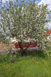 двоповерховий будинок, 65 кв. м, цегла. Продаж у Довжику фото 2
