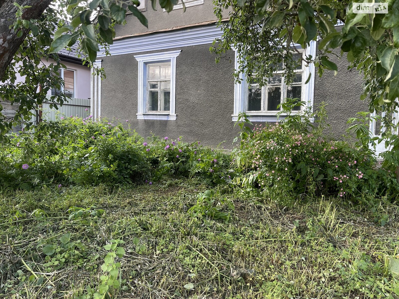 одноповерховий будинок, 125 кв. м, цегла. Продаж у Довжку фото 1 одноповерховий будинок, 125 кв. м, цегла. Продаж у Довжку фото 1