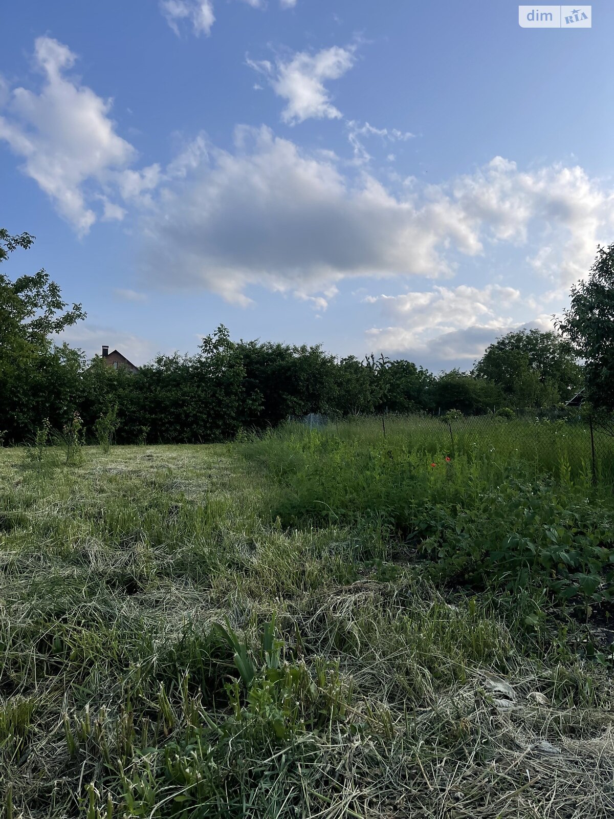 одноповерховий будинок, 125 кв. м, цегла. Продаж у Довжку фото 1 одноповерховий будинок, 125 кв. м, цегла. Продаж у Довжку фото 1