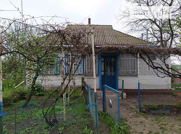 одноэтажный дом с садом, 90 кв. м, кирпич. Продажа в Беспальче (Черкасская обл.) фото 1 одноэтажный дом с садом, 90 кв. м, кирпич. Продажа в Беспальче (Черкасская обл.) фото 1