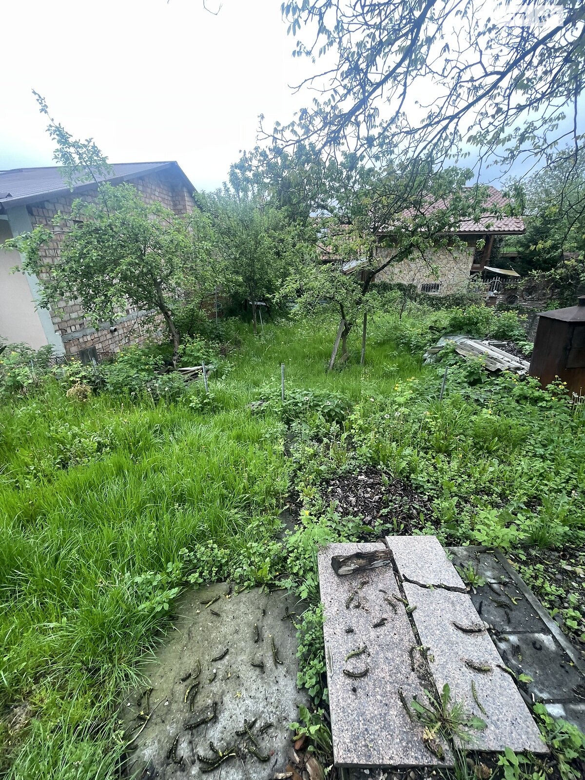одноэтажный дом с отоплением, 80 кв. м, дерево и кирпич. Продажа в Дрогобыче фото 1 одноэтажный дом с отоплением, 80 кв. м, дерево и кирпич. Продажа в Дрогобыче фото 1