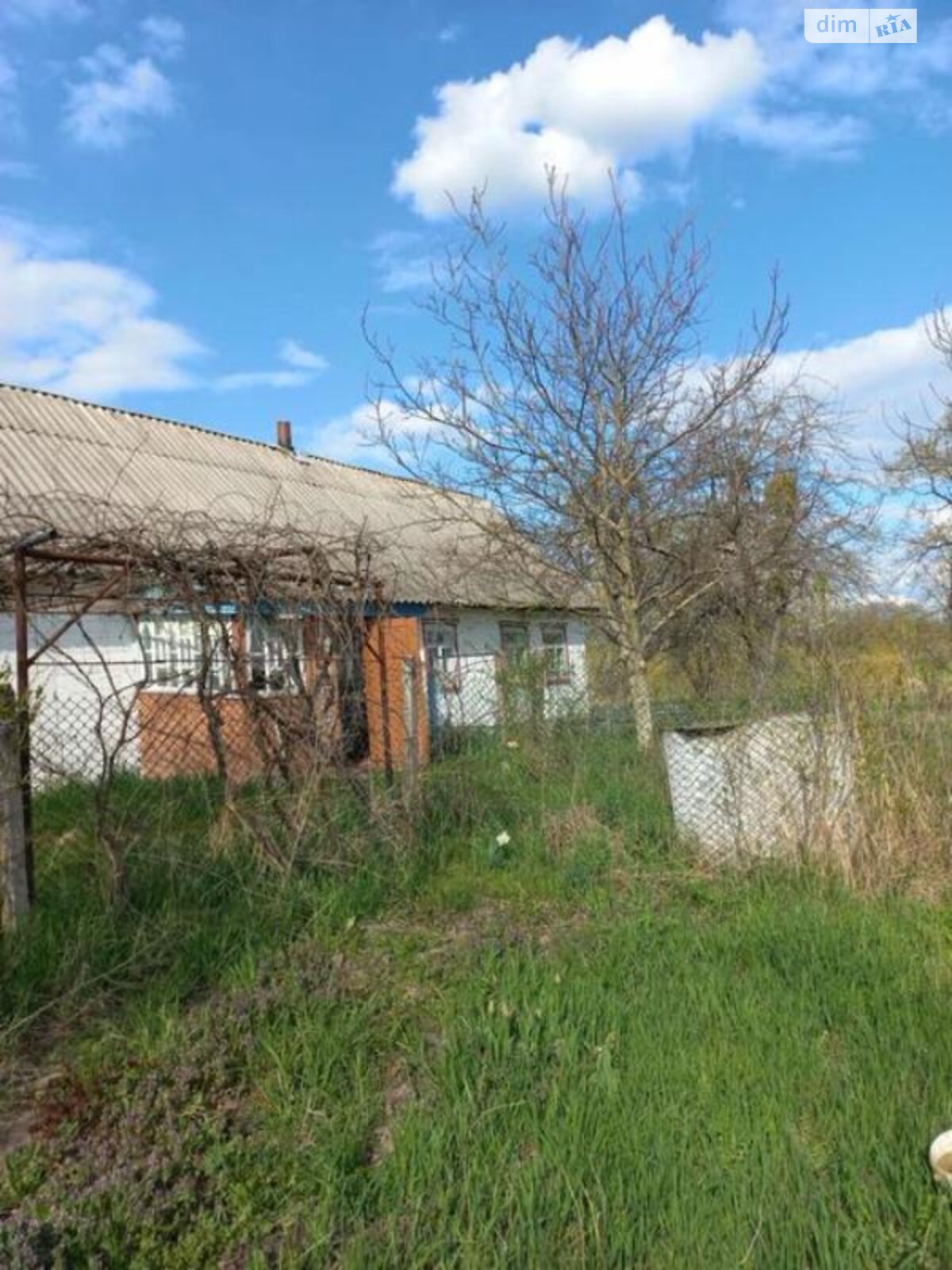 одноповерховий будинок, 55 кв. м, зруб. Продаж у Дубовці фото 1