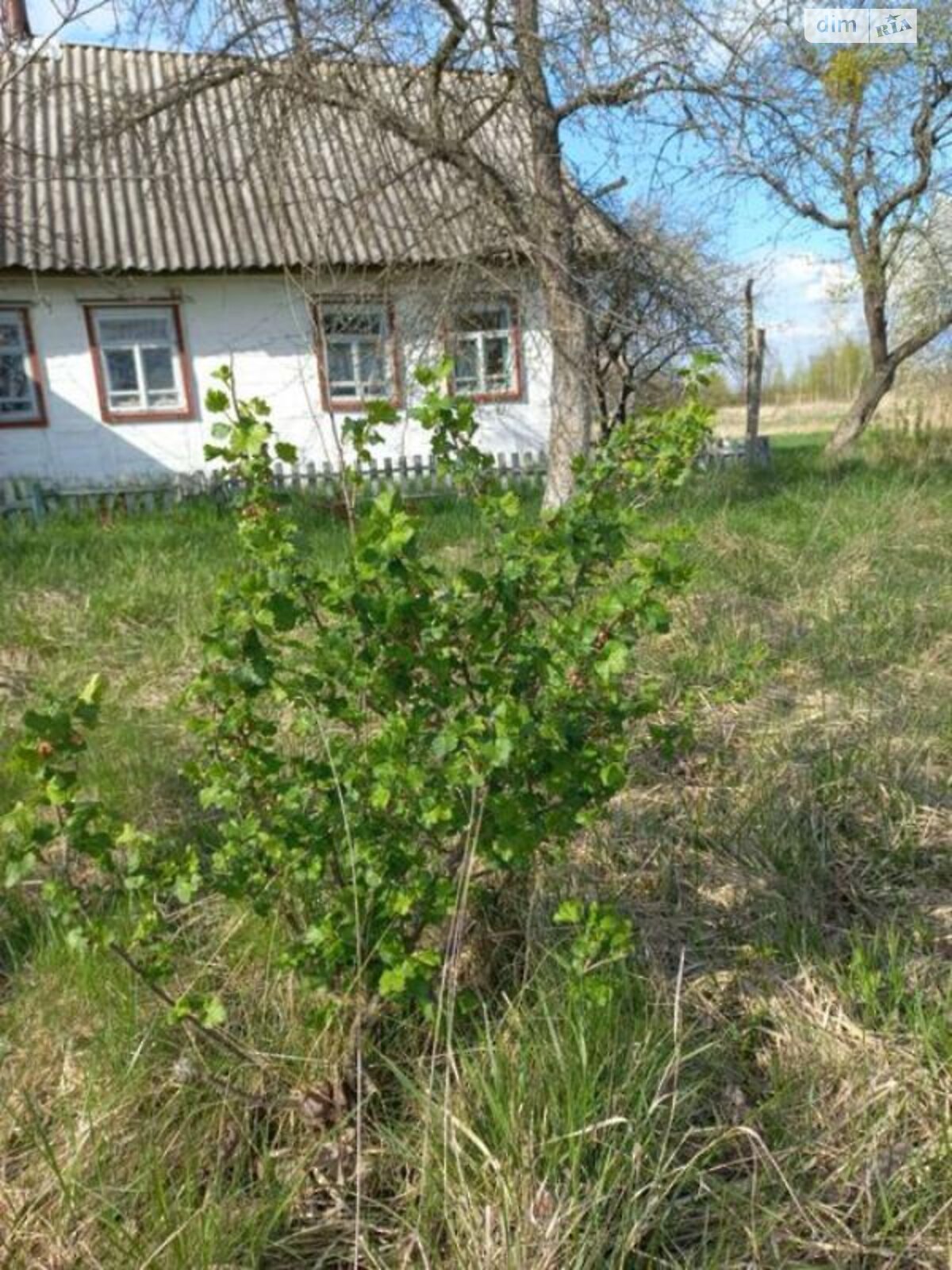 одноповерховий будинок, 55 кв. м, зруб. Продаж у Дубовці фото 1