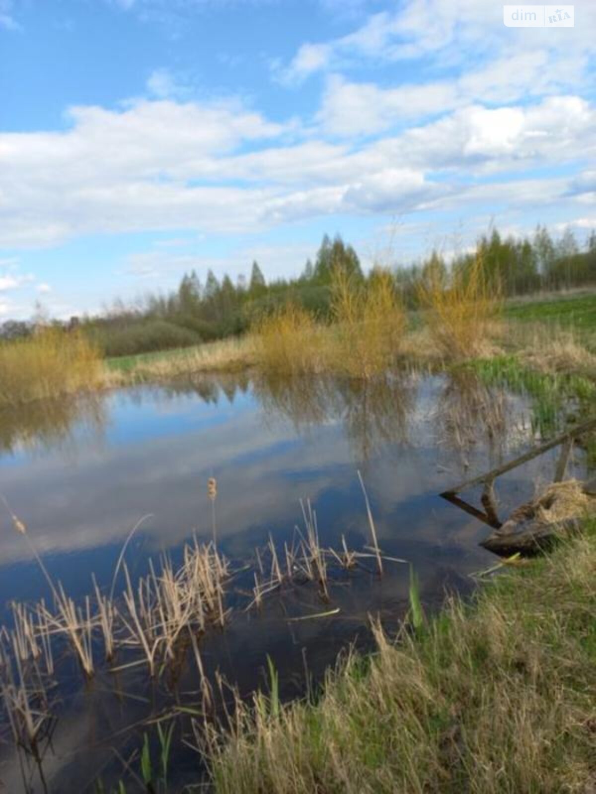 одноповерховий будинок, 55 кв. м, зруб. Продаж у Дубовці фото 1