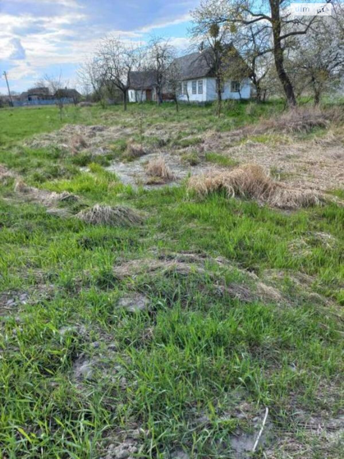 одноповерховий будинок, 55 кв. м, зруб. Продаж у Дубовці фото 1