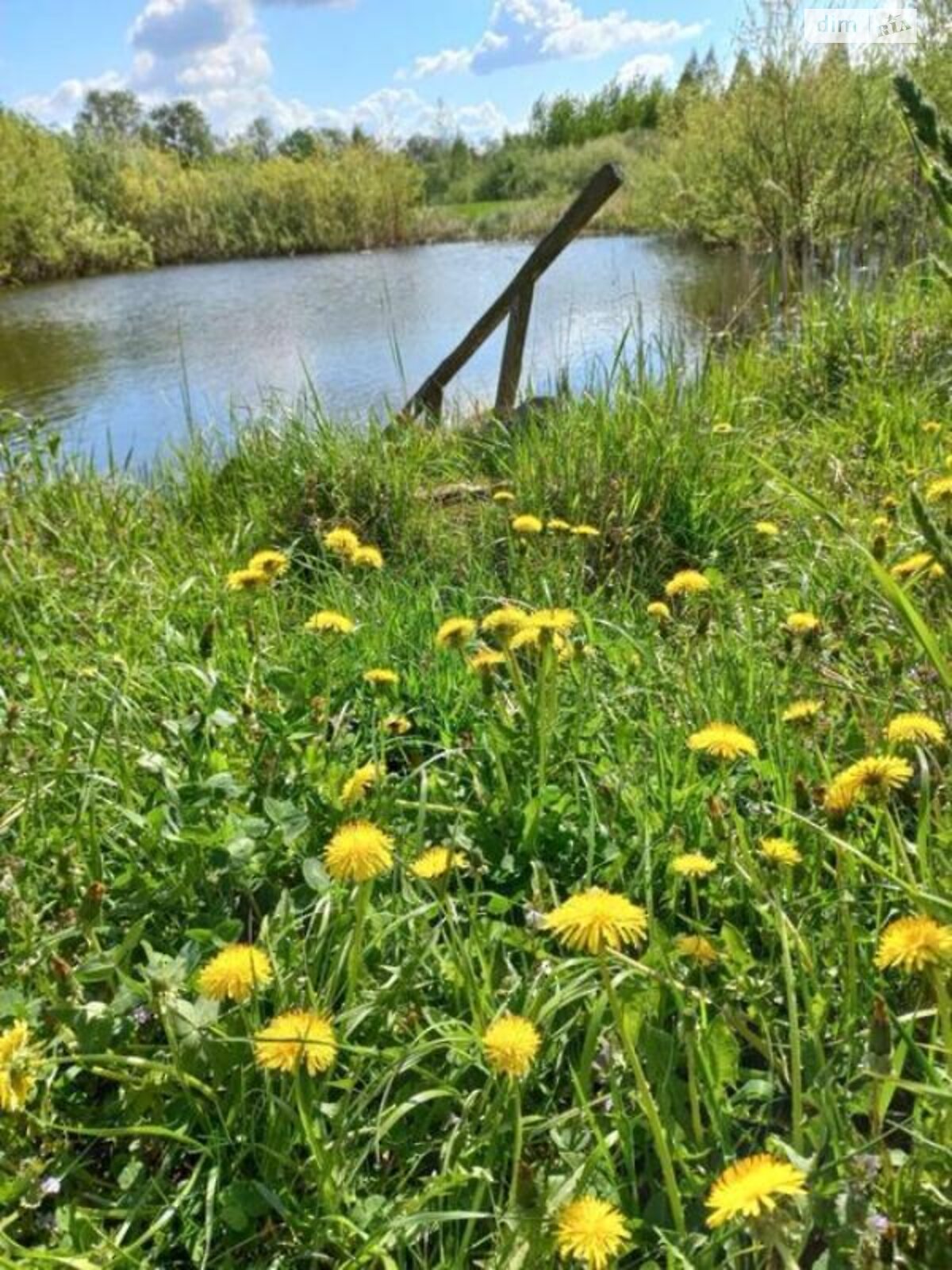 одноповерховий будинок, 55 кв. м, зруб. Продаж у Дубовці фото 1