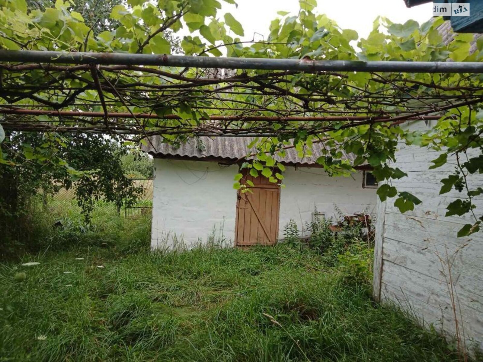 одноповерховий будинок, 55 кв. м, зруб. Продаж у Дубовці фото 1