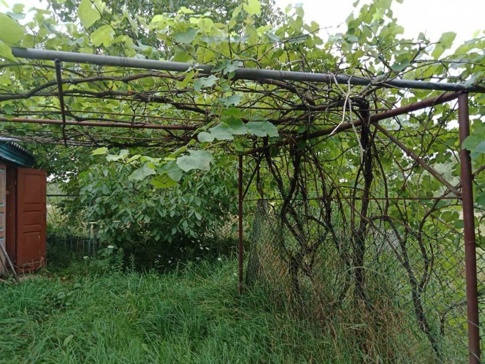 одноповерховий будинок, 55 кв. м, зруб. Продаж у Дубовці фото 1